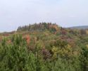 Cheat Mtn.jpg