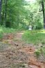 links liegt Hornets Nest