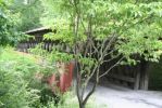 Old Easley Bridge