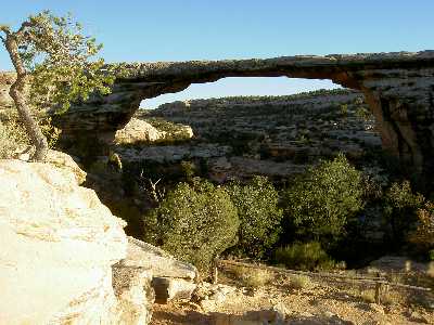 Natural Bridges
