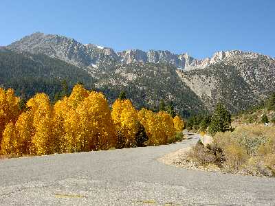 Tioga Pass
