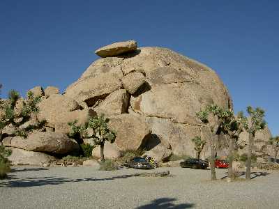 Joshua Tree II
