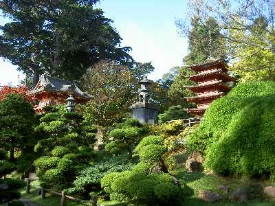 SF - Japanese Tea Garden
