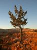 Bryce Canyon