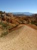 Bryce Canyon II