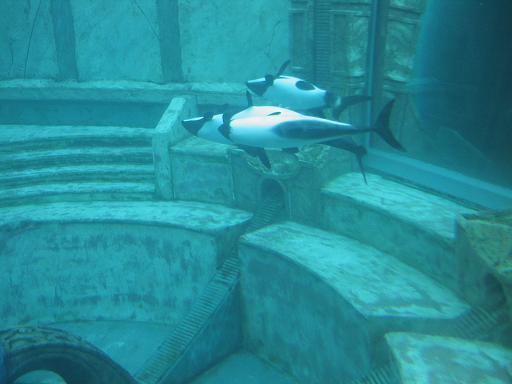 atlantis1.JPG