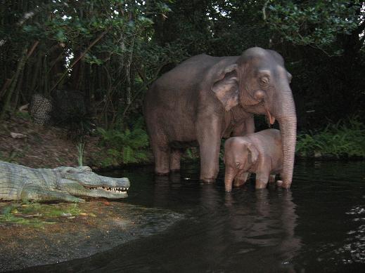 jungle_cruise.JPG