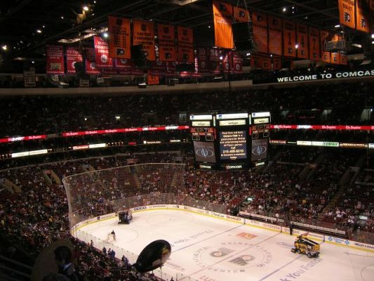 FlyersWild.JPG