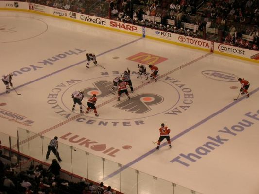 FlyersWild2.JPG