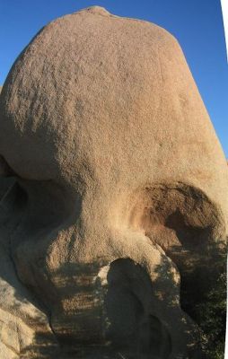 Skull.JPG