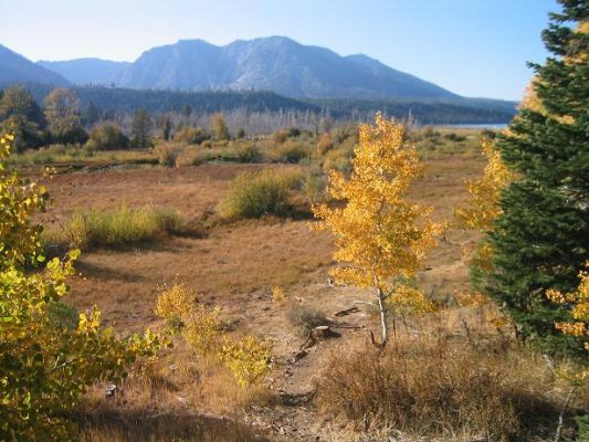 TahoeTrail1.JPG