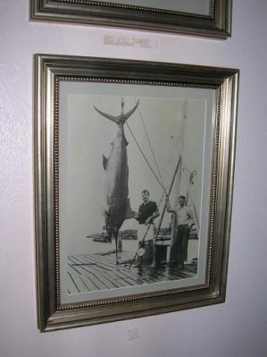 fisch~0.JPG