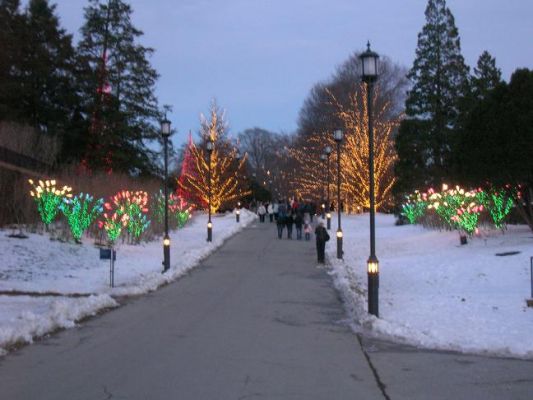 lichter1.JPG