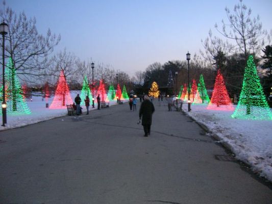 lichter4.JPG
