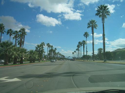 palmcanyon.JPG