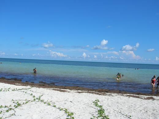 strand~0.JPG