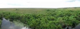 PanoramaEverglades.JPG