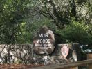 schild muir.JPG