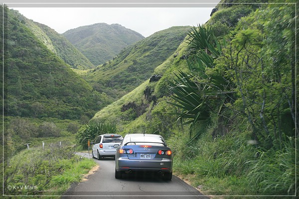 hawaii08_136.jpg