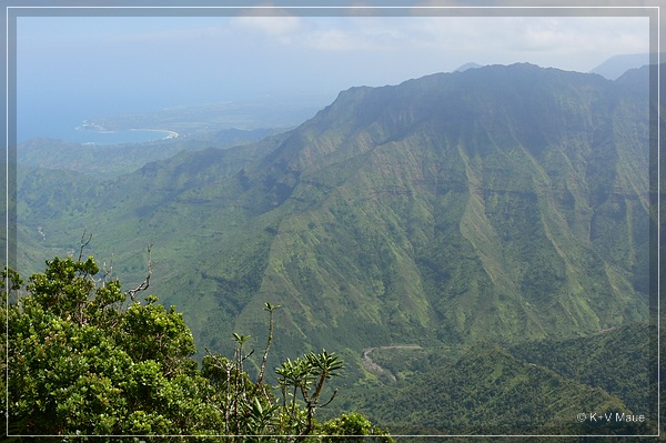 hawaii08_154.jpg