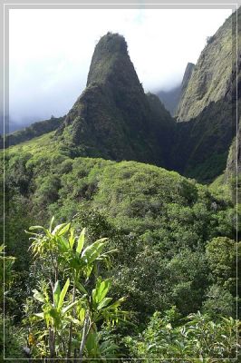 hawaii08_139.jpg