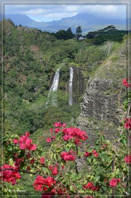 hawaii08_201.jpg