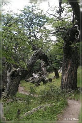 patag09_062.jpg