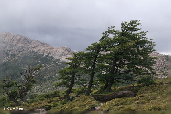 patag09_058.jpg