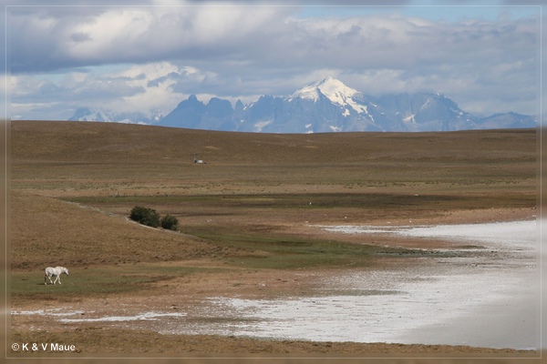 patag09_111.jpg