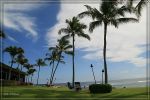 hawaii08_187.jpg