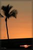 hawaii08_216.jpg