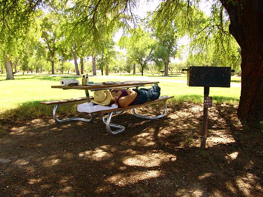 Santa Elena Campground BBQ
