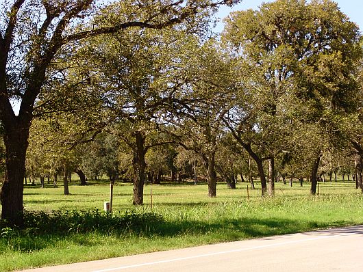 Fahrt duch das Hill Country
