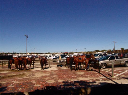 Stockyards
