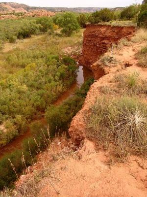 Palo Duro Canyon
