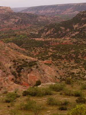 Palo Duro Canyon
