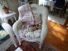 DSC00246.jpg