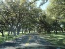 DSC00525.jpg