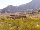 Fahrt durch Big Bend NP