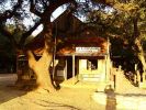 Luckenbach