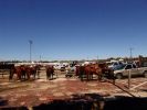 Stockyards