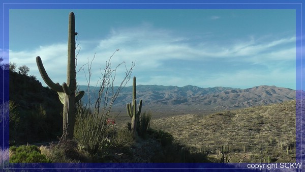 comp_snap_cactusDrivePano.jpg