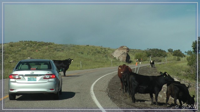 comp_snap_openrange.jpg