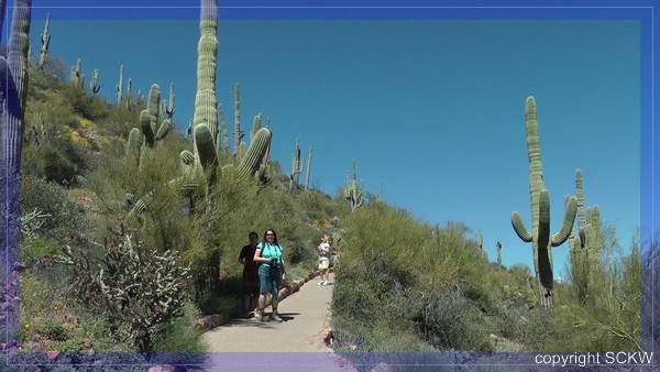 comp_snap_tonto_csTrail.jpg