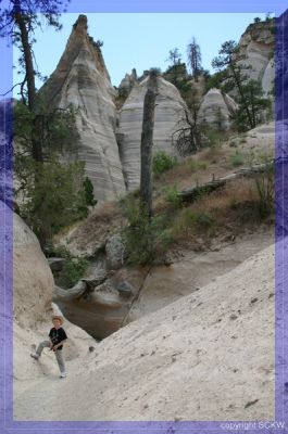 tentrocks 2005
