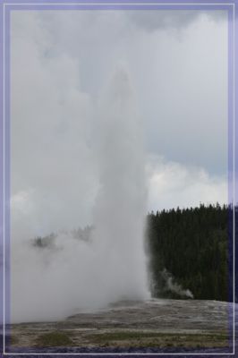 comp_IMG_0853.jpg