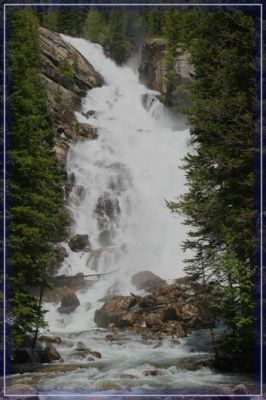 comp_IMG_1280.jpg