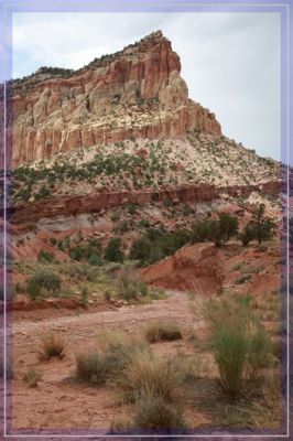 comp_IMG_1539.jpg