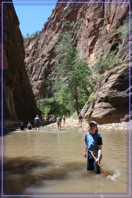 comp_IMG_2087.jpg