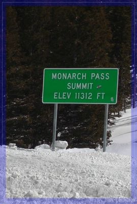 comp_snap_monarchPass.jpg